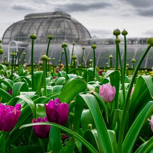 IGPOTY 14 - Launch Exhibition (Winners Revealed)