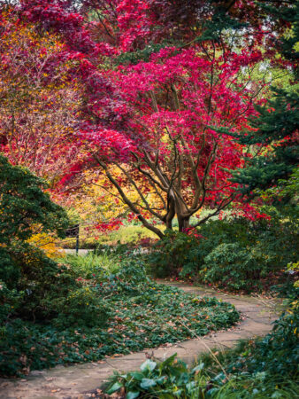 View from My Favourite Place by Alexander Fischer