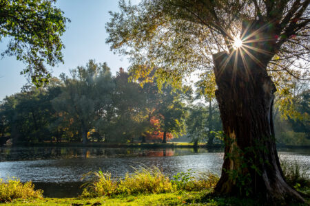 Morning Mood by Ursula Potts