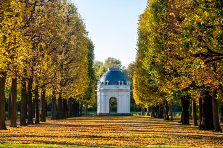 Golden Frame by Ursula Potts