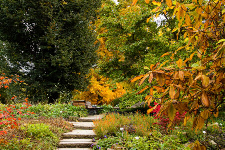 Lieblingsbank by Antje Kohlstedde