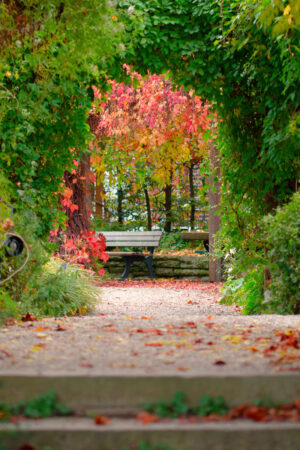 Resting Place by Helga Berger