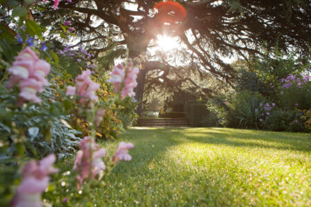 National Trust Hidcote (IGPOTY 16)