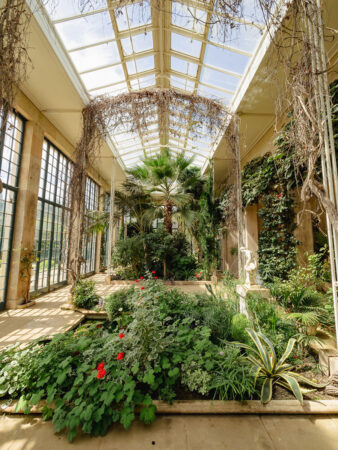 Belton House Conservatory by Andrew Fletcher