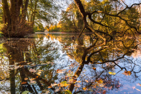 Boathouse by Hamish Roots