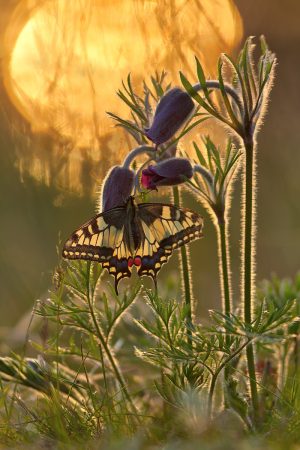 In the Right Place at the Right Time by Sergii Markov
