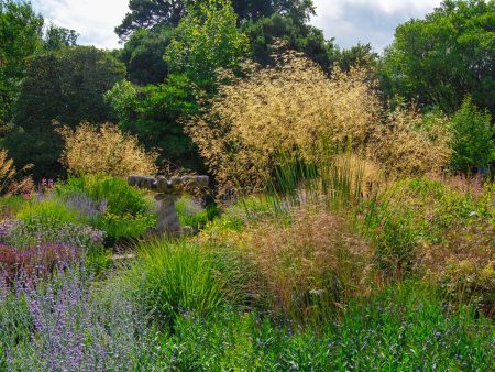 The Fountain Border by David Curtis