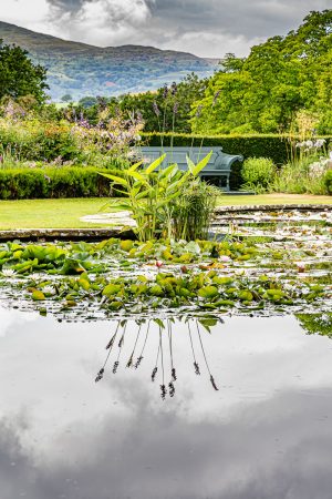 Quiet Moments by the Pond by David Greer