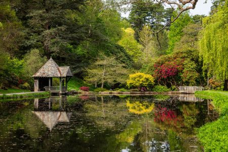 Boating Pool by Chris Lesslie