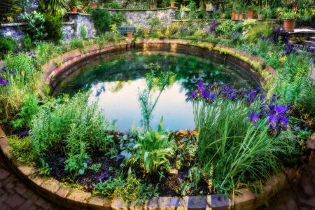 The Hidden Pool by Stephen Bell