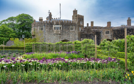 Flowers in the Castle Gardens by Andrew Fletcher