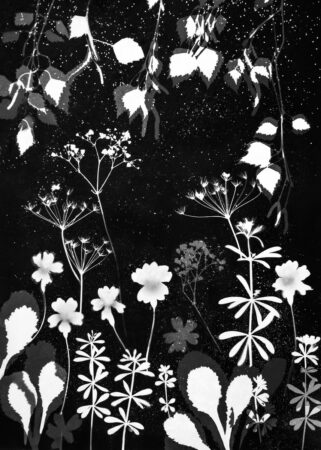 A Dusting of Pollen by Fiona Lea