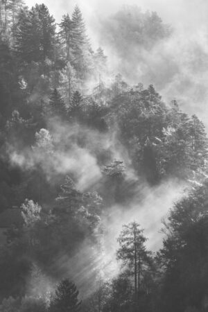 As the Mist Clears by Catherine Illsley