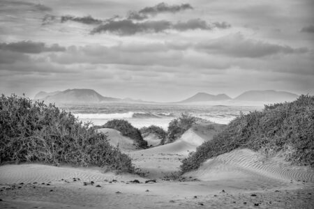 The Dunes by Dieter Wanjura