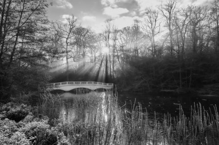 Winter Light by Marina Chrysou