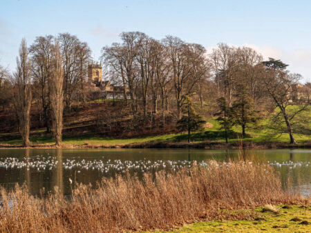 Woodstock View by Jacqueline Griffin