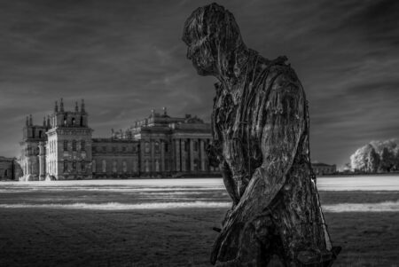 A Look of Envy by Brian Lee