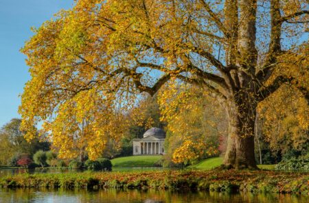 Autumn Temple by Paul Dibben