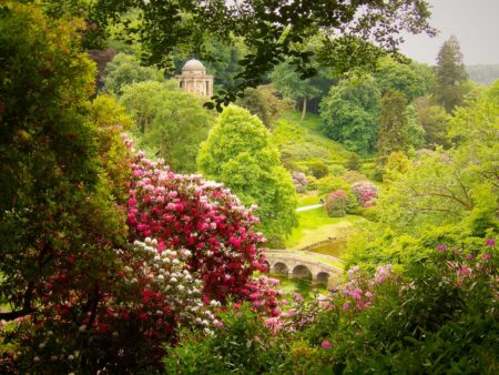 A Hidden View by Abigail Barton