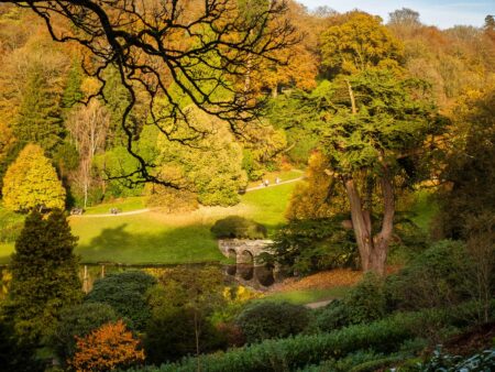 Autumn Colours by the Footbridge by Chris Lesslie