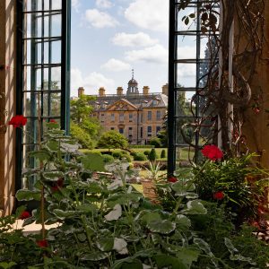 The Beauty of Belton Estate (2026)