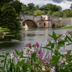 Beautiful Blenheim (2026)