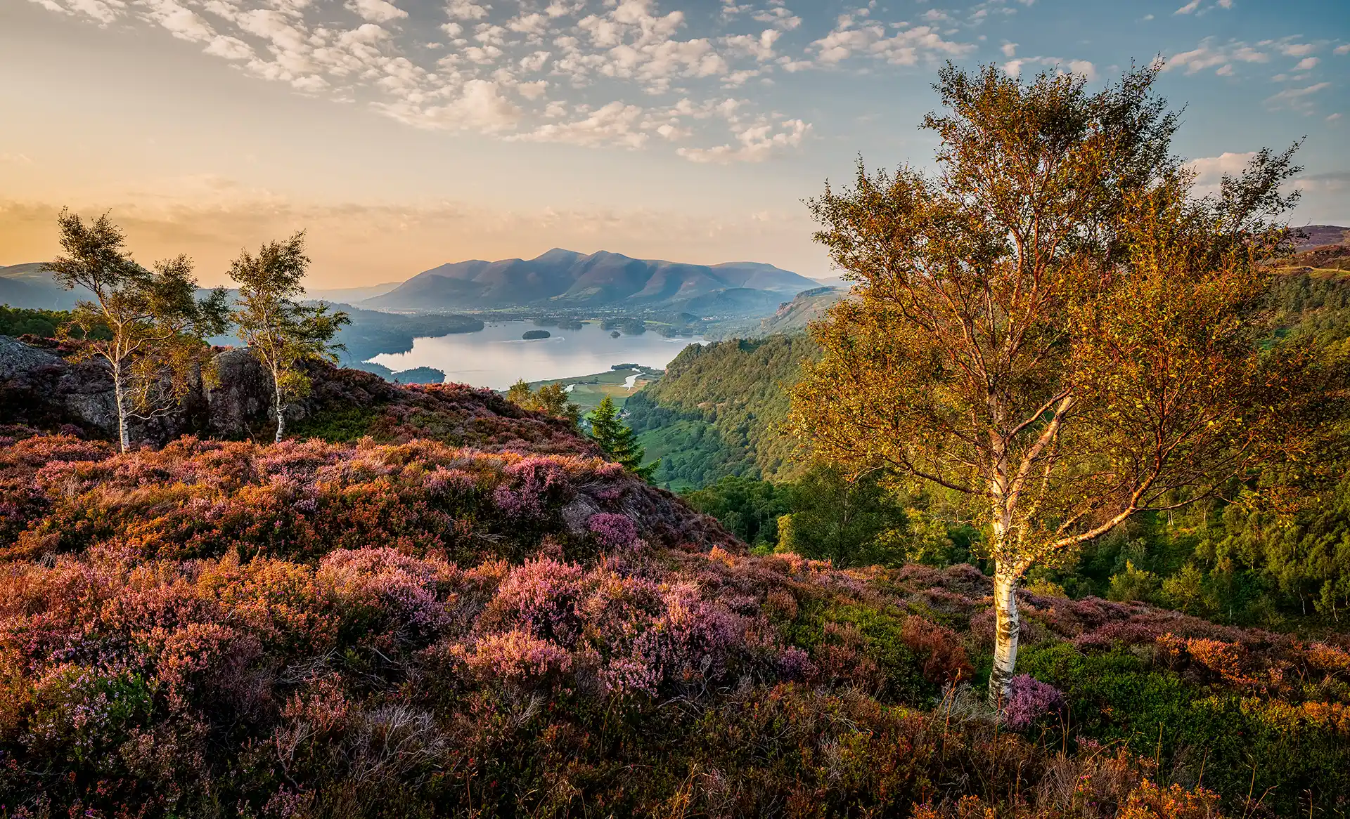 IGPOTY Competition 19 – Main Results and Overall Winner Announced!